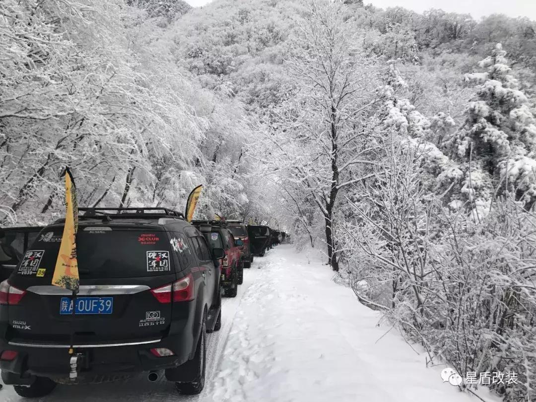 柴油车多少度会冻油,柴油车零下40度冻了