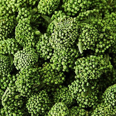 三七花是旱三七的花吗,三七花为圆锥花序