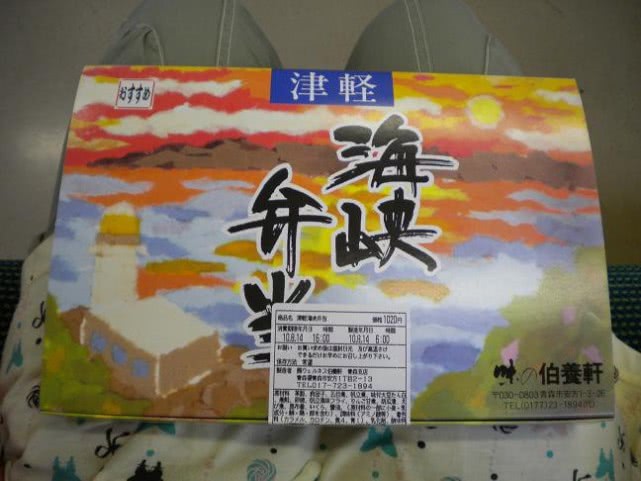 1万元旅游创业方法,1万块钱可以去日本穷游吗