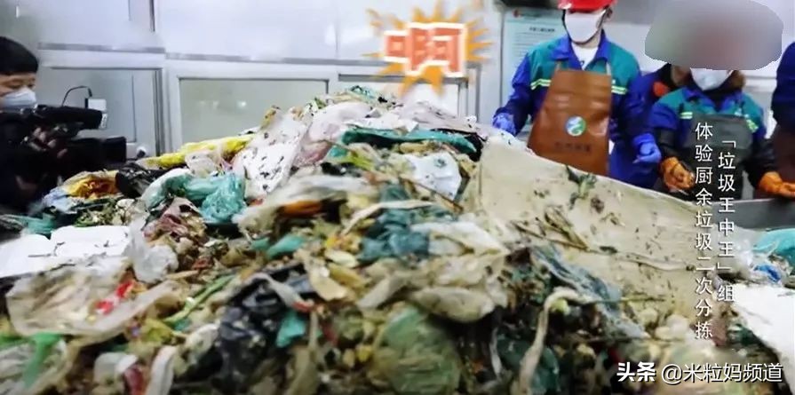 全国人民看江浙沪,上海垃圾分类现在怎样了