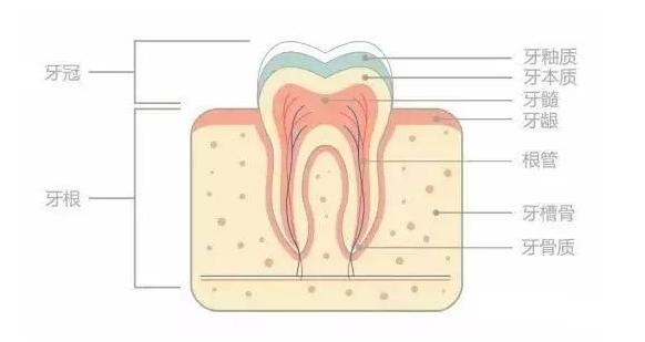 刘涛美白牙花了300万,牙齿美白都有哪些方法?口腔医生为你揭秘