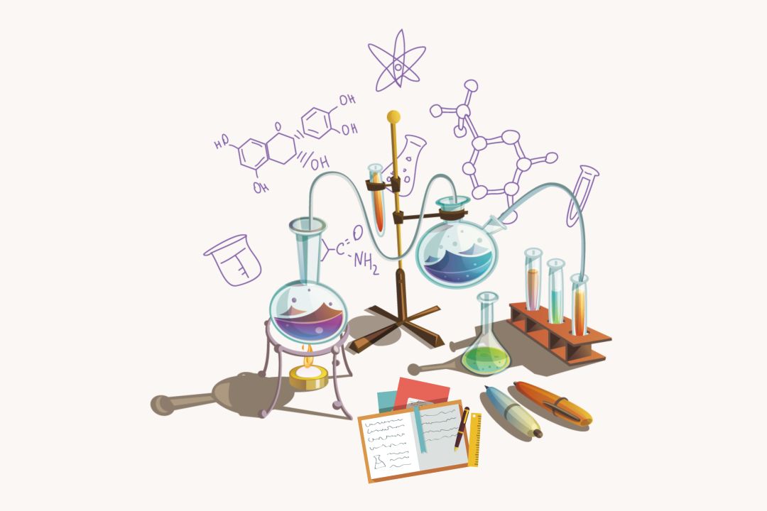 高碳水主食和高脂肪主食有什么,蛋白质碳水脂肪摄入合理的食谱