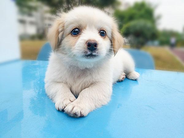 糖尿病的克星告别胰岛素不是梦,胰岛素是治疗糖尿病最佳方案吗