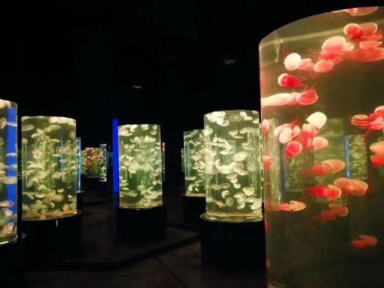 盘锦大洼区旅游攻略,盘锦大洼旅游