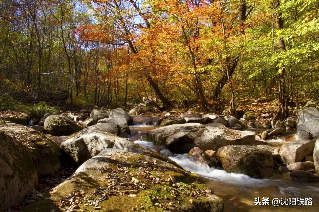 这份攻略带你走进最佳赏枫地,四大赏枫胜地你最想打卡哪个