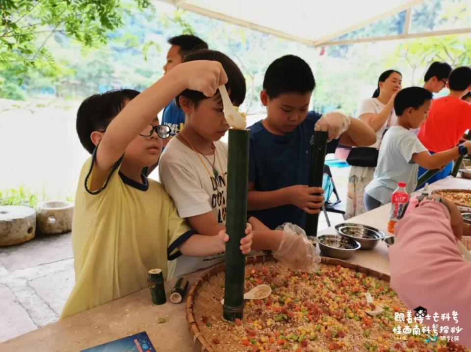 活了两千多年的“巨无霸”就在广西！昨天，他们相遇了