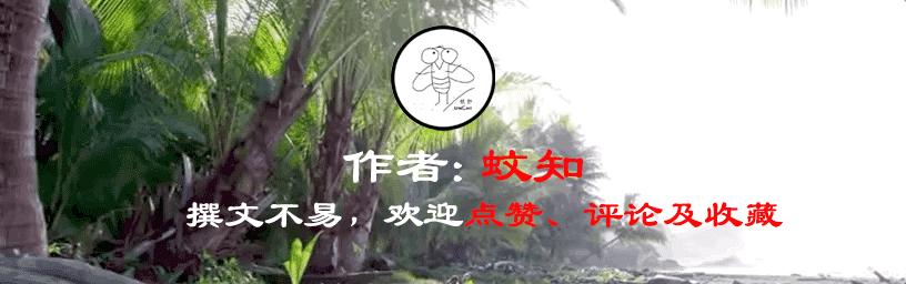 人到中年不得已都开始秃顶了,中年男人的三大危机秃顶发福