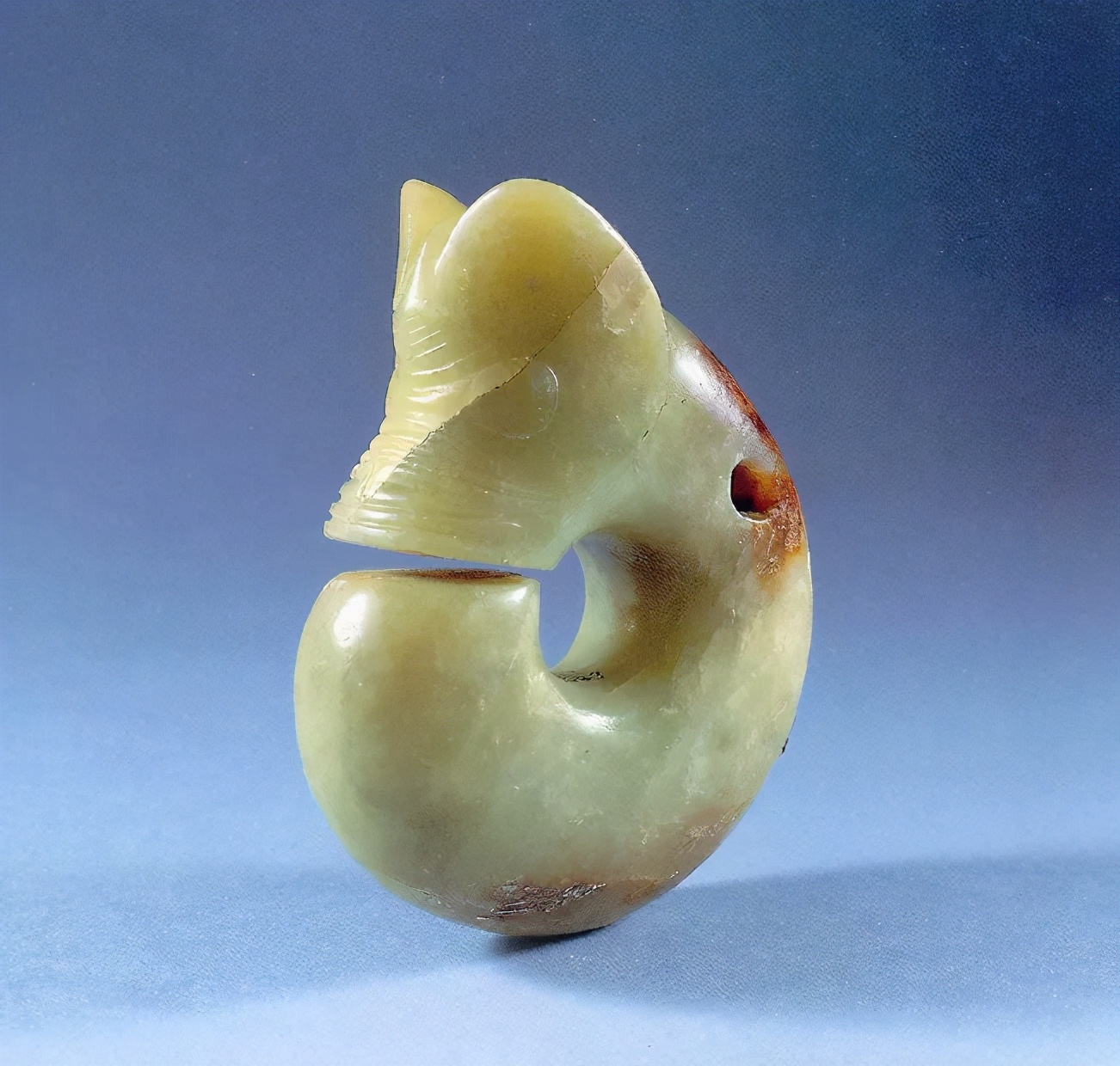 ​龙界大长腿：你见过长得像山东细犬的龙吗？