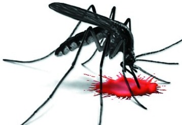 小区消毒杀虫方法与常识,杀虫公司怎样除蟑螂