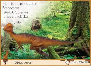 highlights幼儿启蒙英语分级阅读,英语启蒙为什么要做英语分级阅读