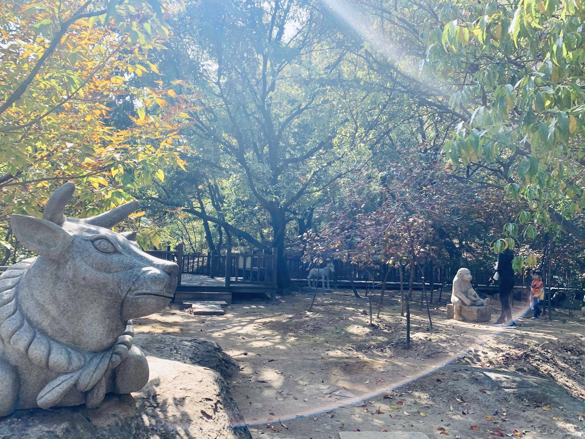 有山有水民宿原生态旅游,有山有水有云民宿名字