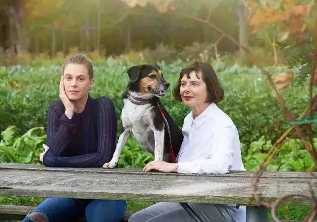 当女神变老,当女神变老了