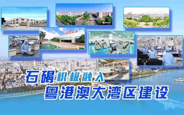 广东石碣镇有哪些开发区,东莞石碣大型产业园