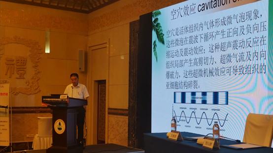 齐鲁医院高海青教授：体外心脏震波—建立冠脉微循环，实现血运重建