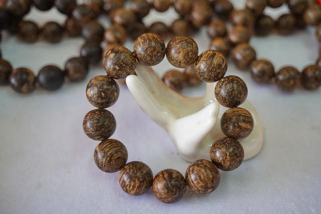 越南芽庄沉香与海南沉香的区别,越南沉香实地考察