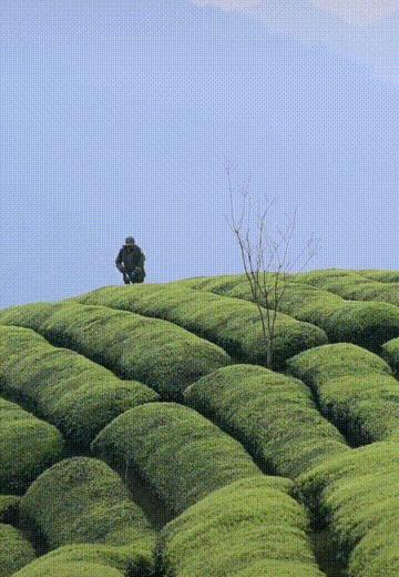 湖北小众古镇旅游推荐,湖北悠闲不累的旅游胜地