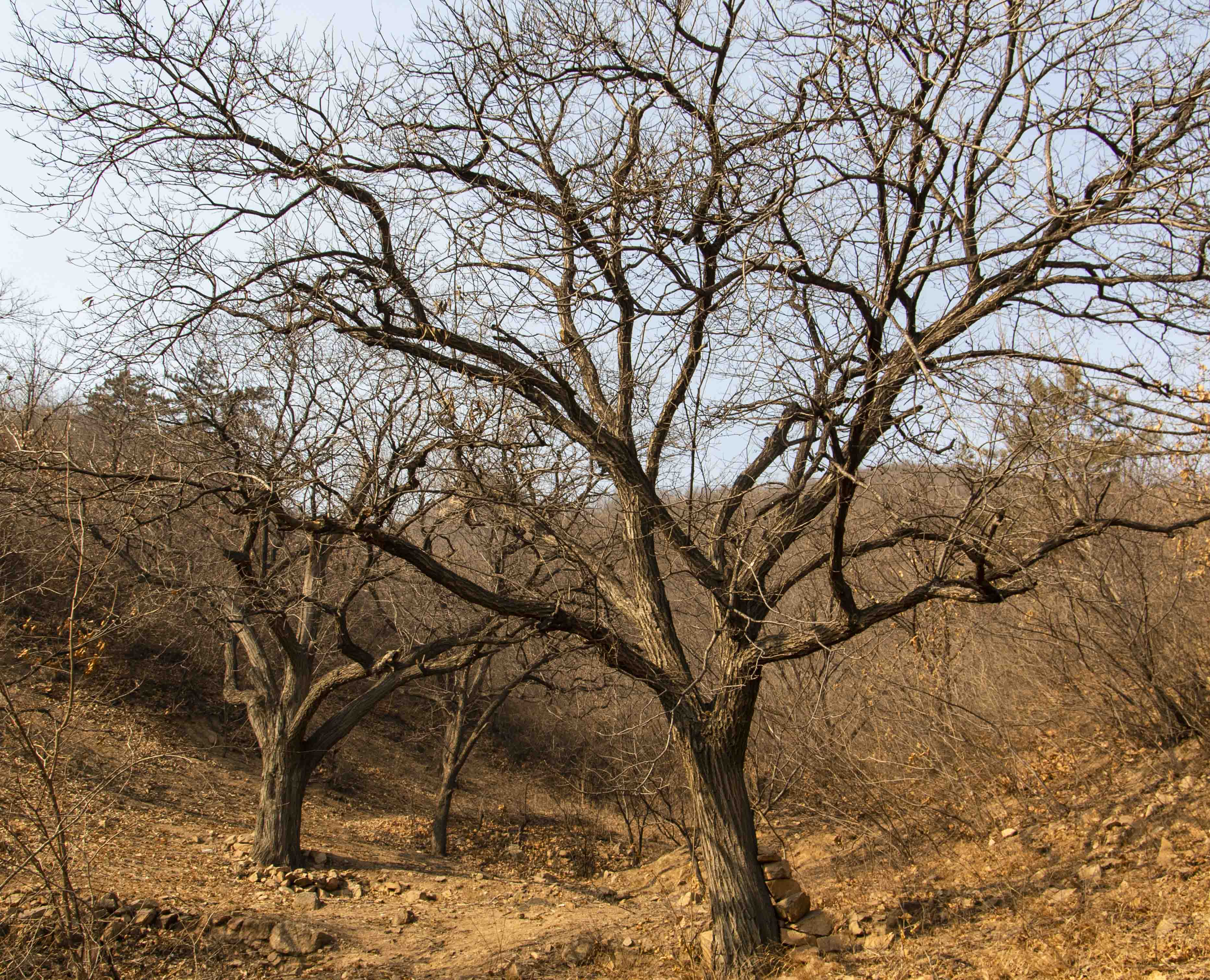 塞外江南处处是美景,塞外风光江南水乡