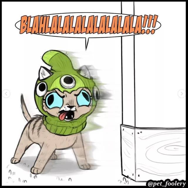 这反差萌也太有爱了，实力宠喵没商量！