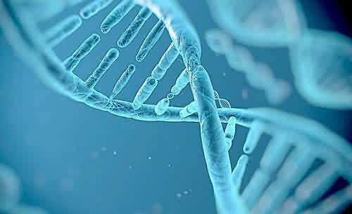 面膜中肌肽的功效与作用,肽对肌肤的五大作用