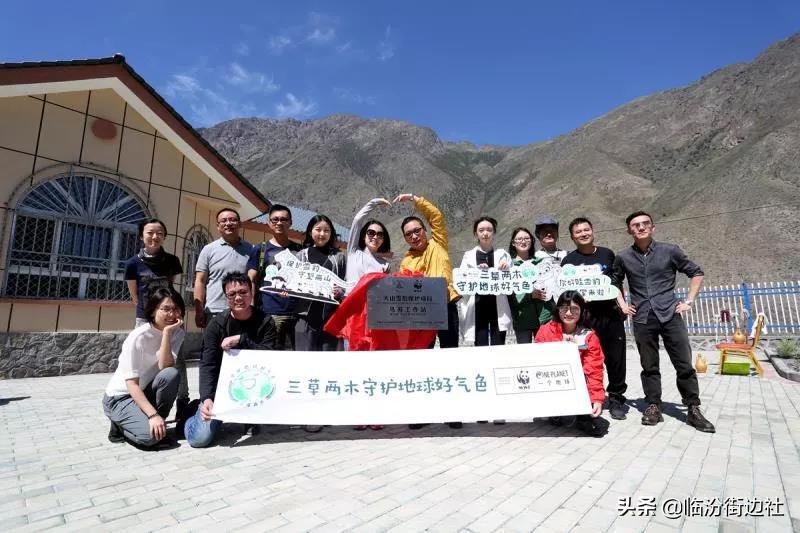 三草两木我们这十年,三草两木用后感悟