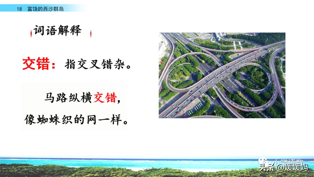 三年级第18课富饶的西沙群岛视频,三年级上册18富饶的西沙群岛笔记