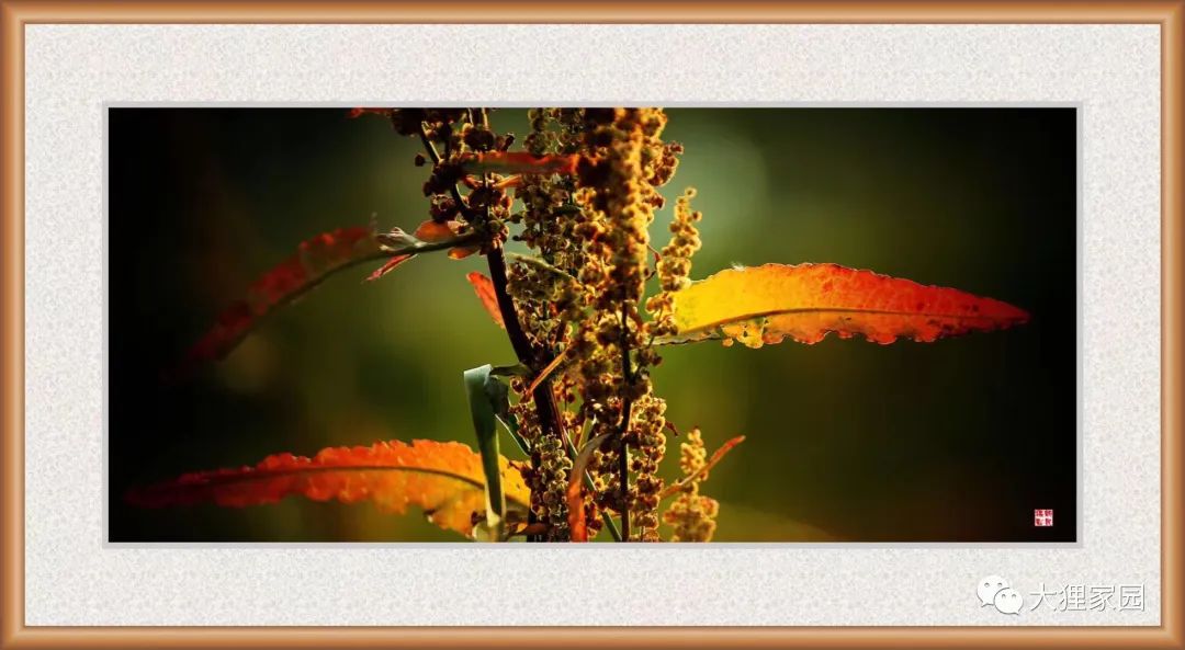 带娃的日子有滋有味,为什么别人的日子过得有滋有味儿