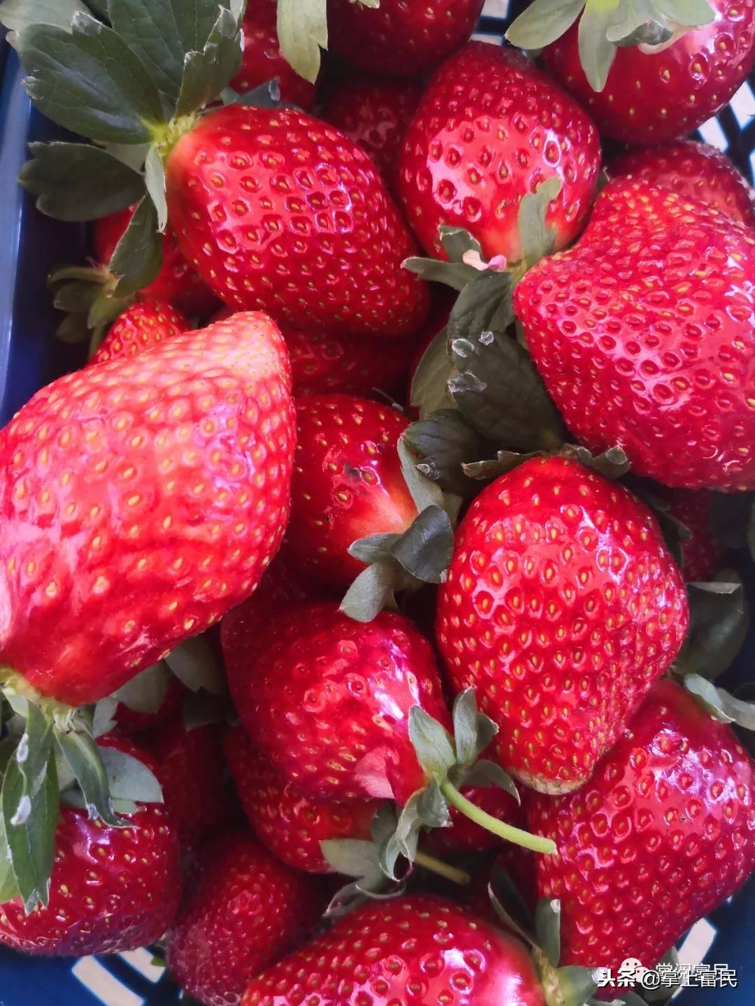 家乡是我们成长的沃土,家乡是生养我们的地方