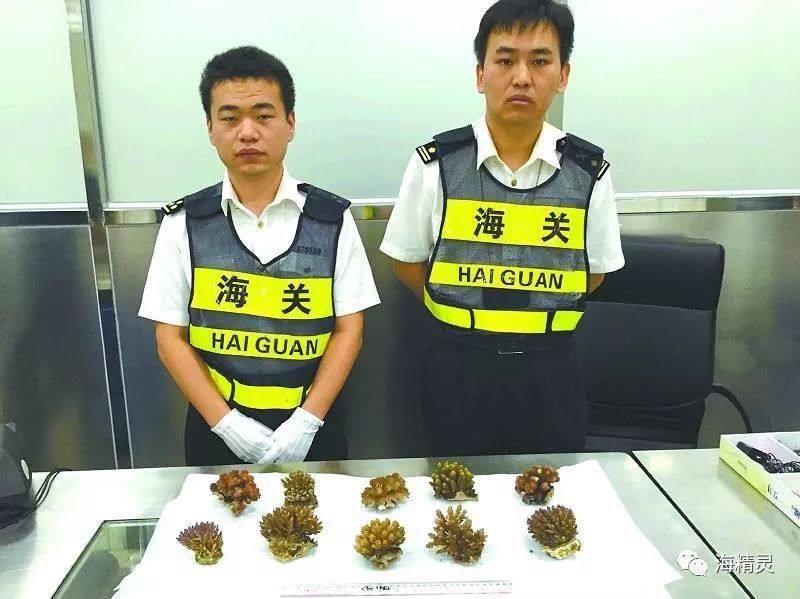 中国海水圈到底存在多少“奸商”？