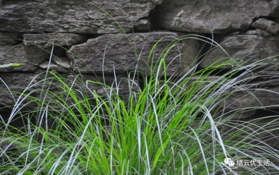 壶镇最大的工厂,壶镇工厂