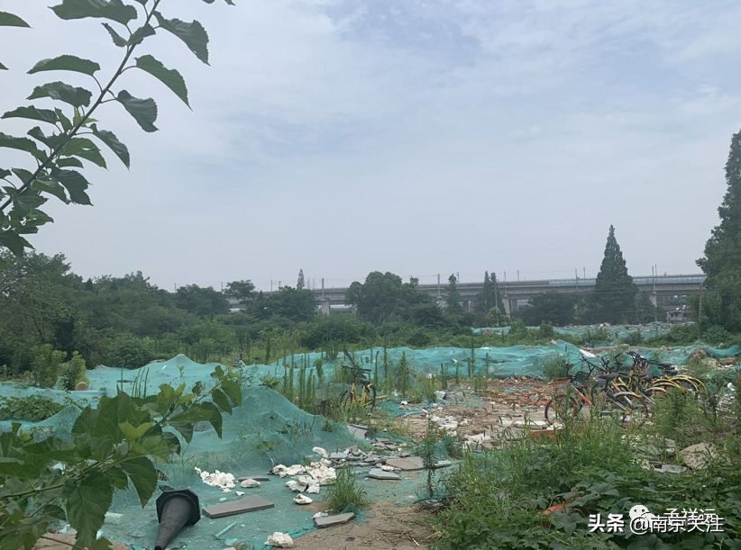 最近南京新消息,南京正在发生什么变化