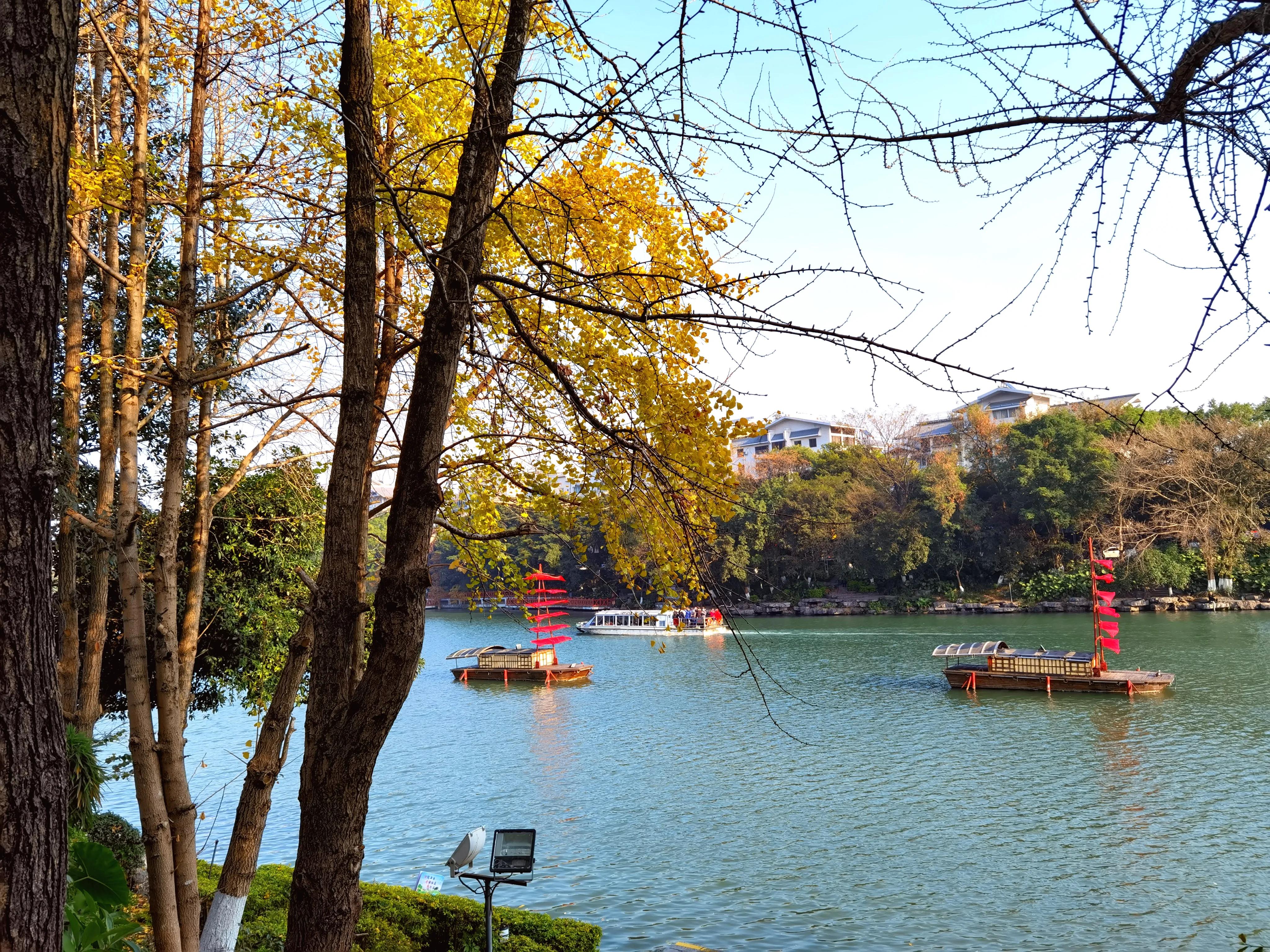 桂林：冬季到桂湖来看景