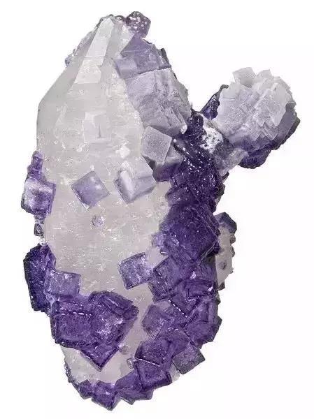 世界上令自己眸生情，见到后再也不爱别人的51个丽人