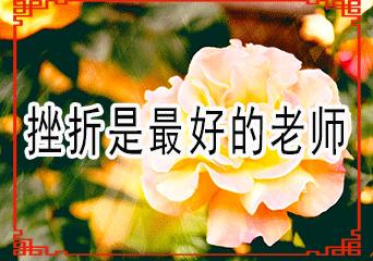 一份暖心的问候致我牵挂的朋友,真心的祝福送给每一位真心的朋友