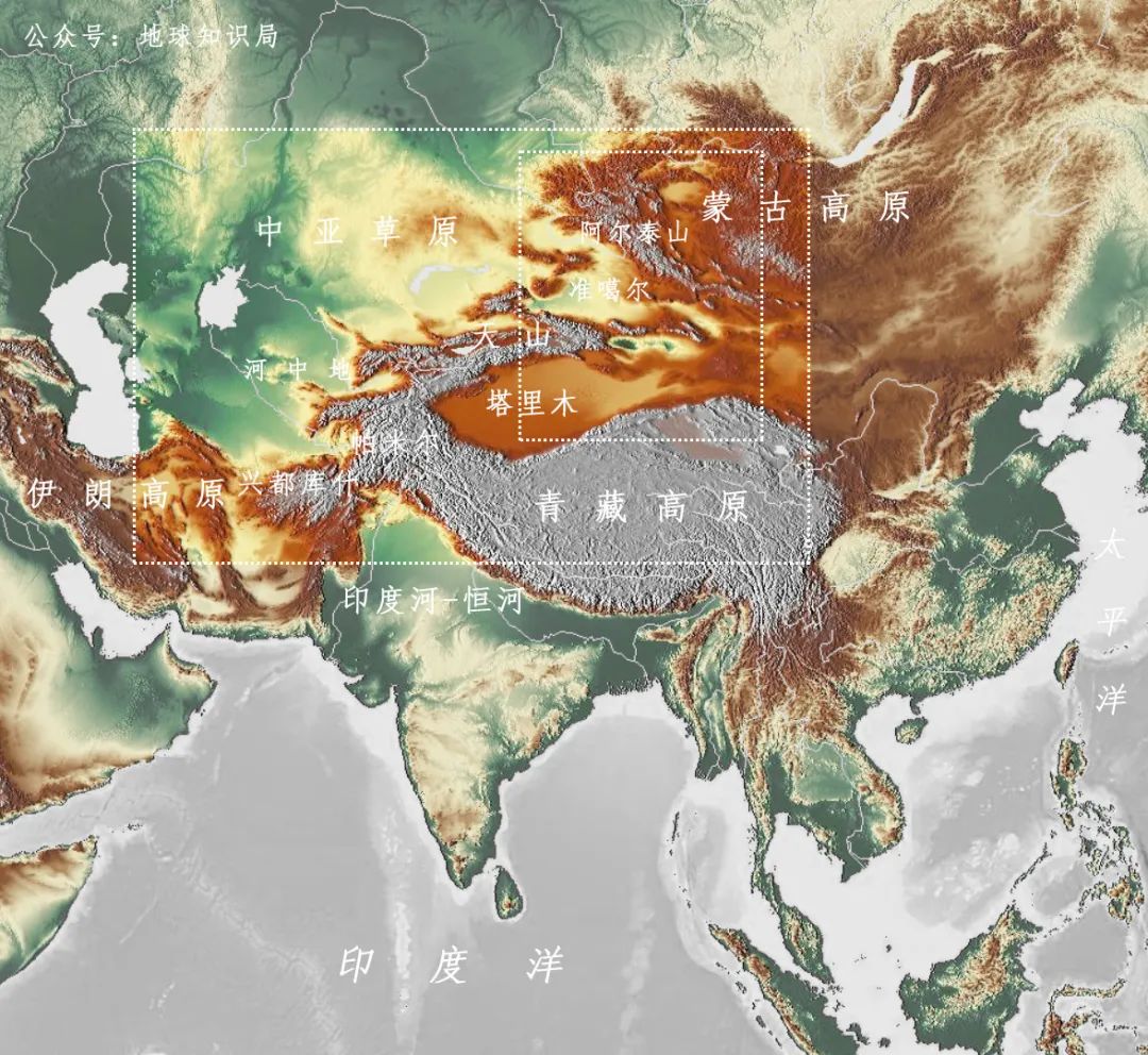 谁在保护金丝猴,谁在保护北极熊