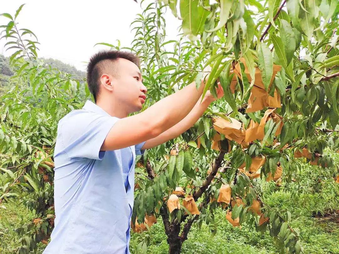 cctv村里来了个农业特派员,村里的联络员