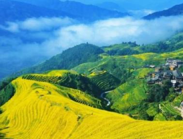 2021年国家公务员备考,赠送考生八个字:享受国考,舞动行测