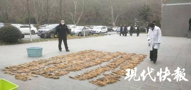 黄鼠狼被杀后果,3年内12万余只黄鼠狼惨遭毒手