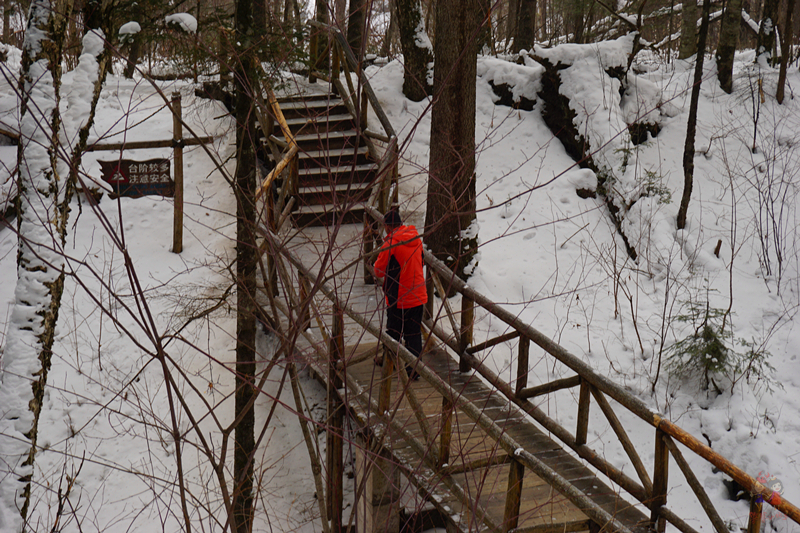 冬季旅游好去处排行榜不看雪,林海雪原旅游景区
