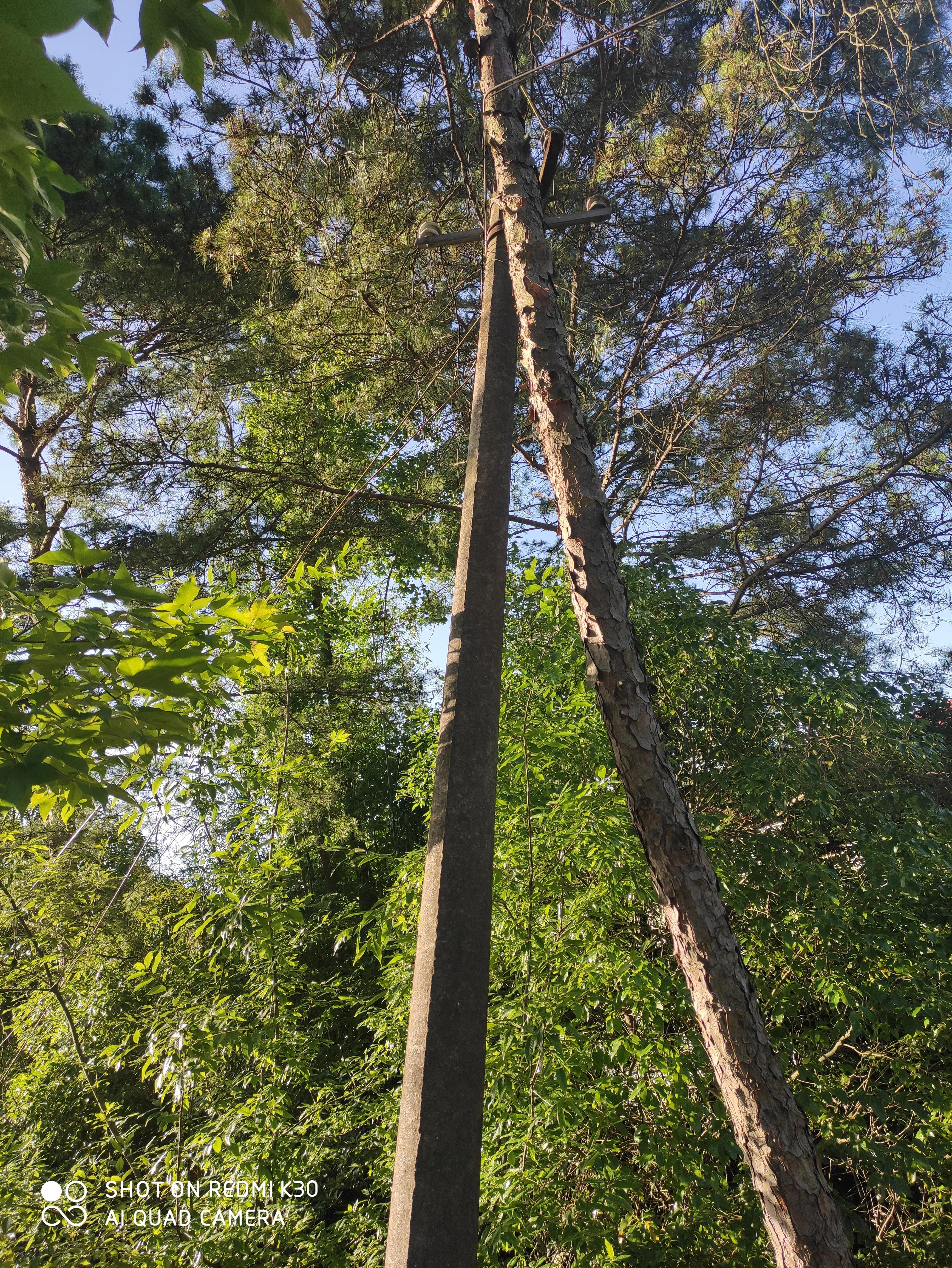 “他问你要烟酒了吗”？简单的电话回访，却防止了百姓的财产损失