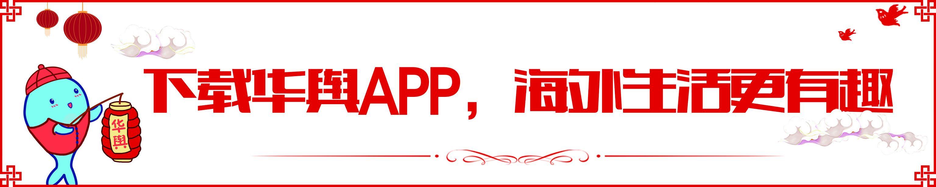 中国年改称“农历年”,悉尼庆典今年更包容