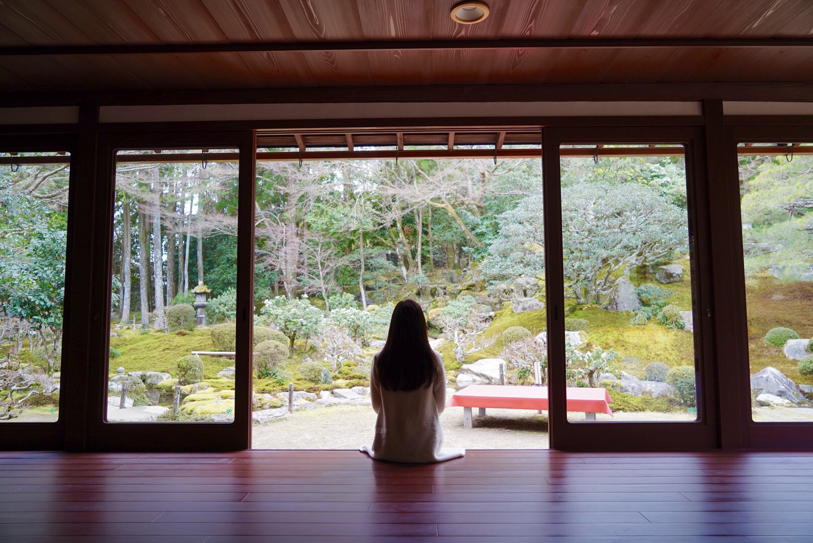 2019日本赏樱最新攻略|大津小众路线私家推荐