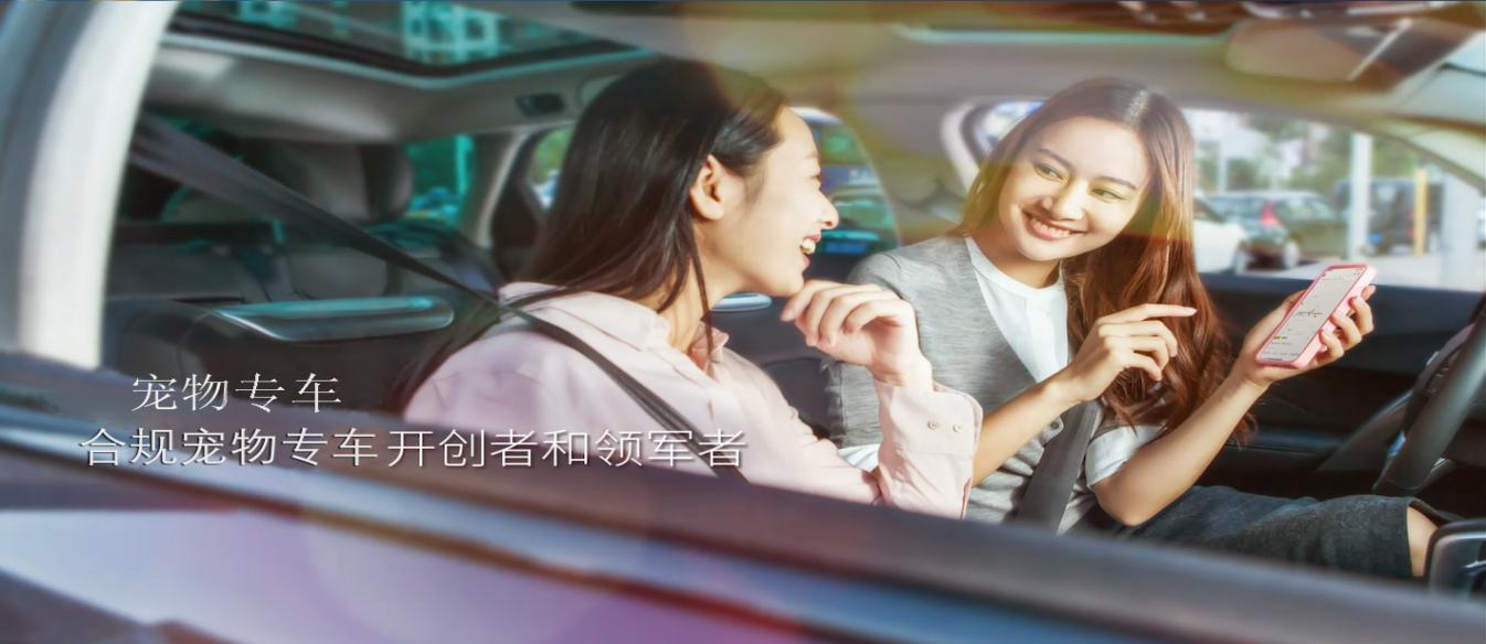 宠必达宠物托运怎么下单,宠必信宠物托运