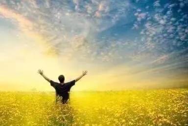 做自己的心理治疗师书在线阅读,做自己的心理治疗师书籍正版