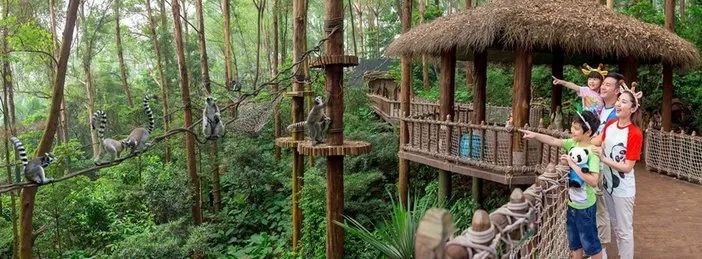 春节广州长隆野生动物世界攻略,广州长隆野生动物世界旅游攻略