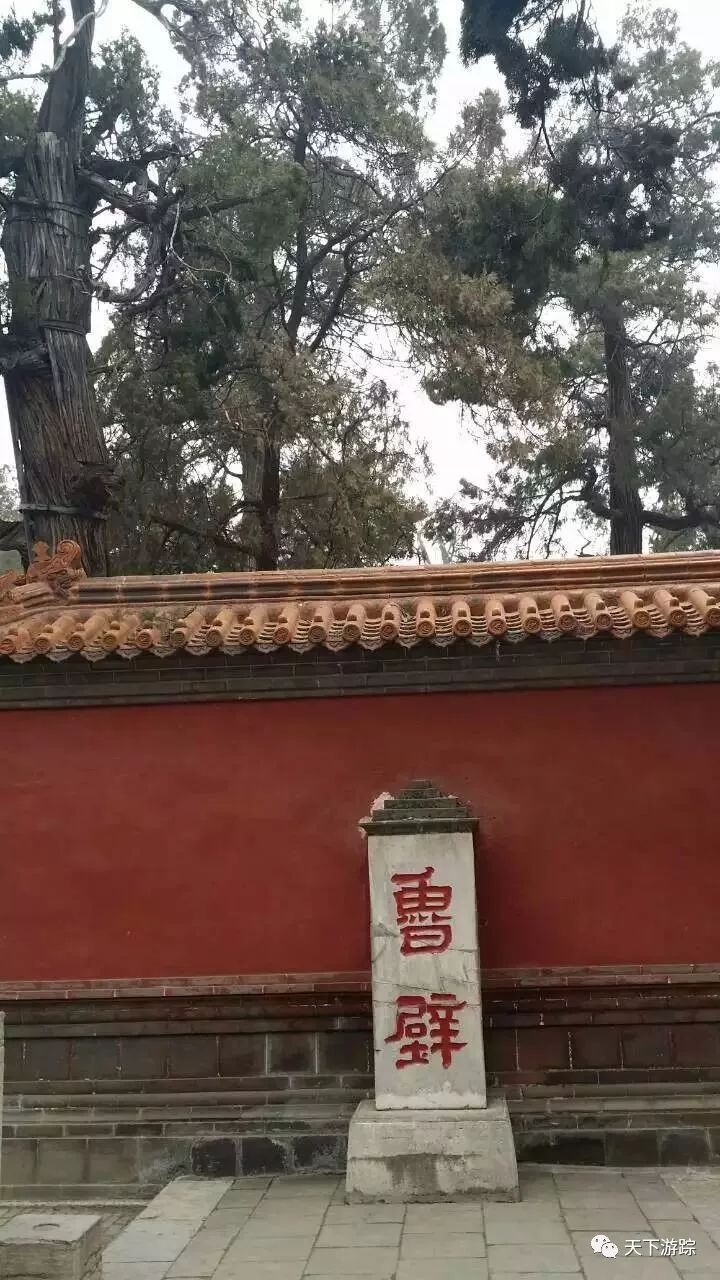 观赏曲阜的孔府孔庙孔林后的感受,曲阜的孔府和孔庙哪个更适合参观