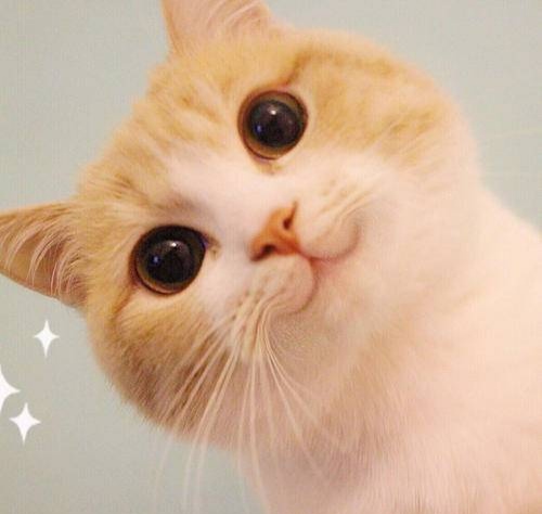 教师资格证怎么样考,教师资格证怎么样申请补助