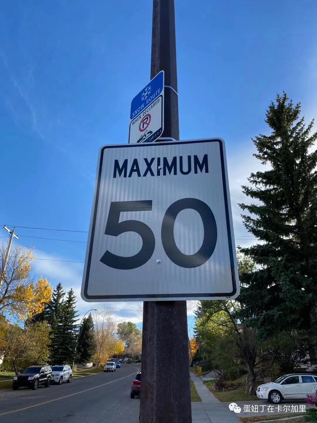 老司机谈开车,老司机聊车大全