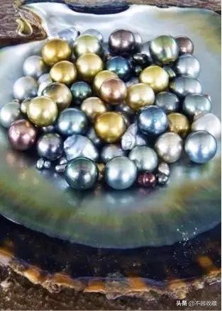 珍珠价格差异为什么那么大,假的珍珠饰品为啥那么贵