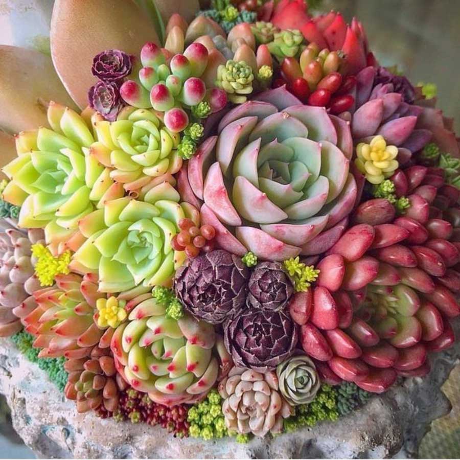 家居收纳日本主妇收纳秘笈大公开,日本主妇如何收纳冰箱蔬菜