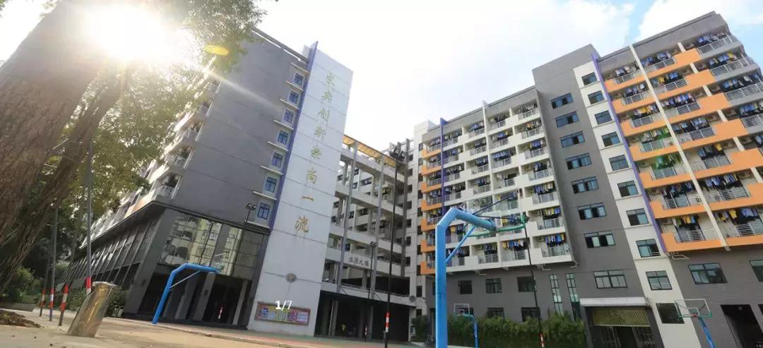 德胜学校国际部,德胜学校国际部有没有免费班